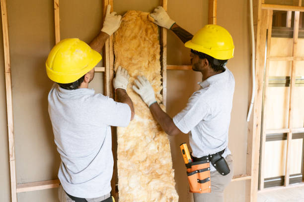 Best Attic Insulation Installation  in USA